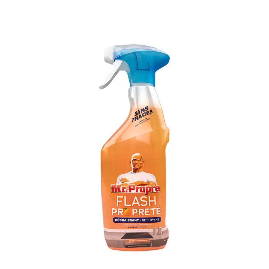 Mr. Propre Ontvet Spray Flash Mand 500ml