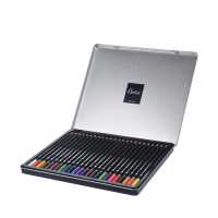 Artist Kleurpotloden 24 stuks