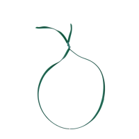 Pro Garden Binddraad 20 meter 2 stuks