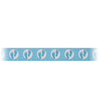 Afzetlint Baby Boy 12 meter