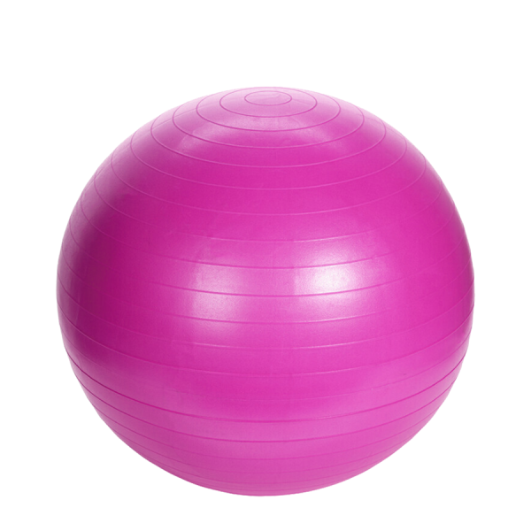 XQ Max Gym Ball Pink Ø65cm