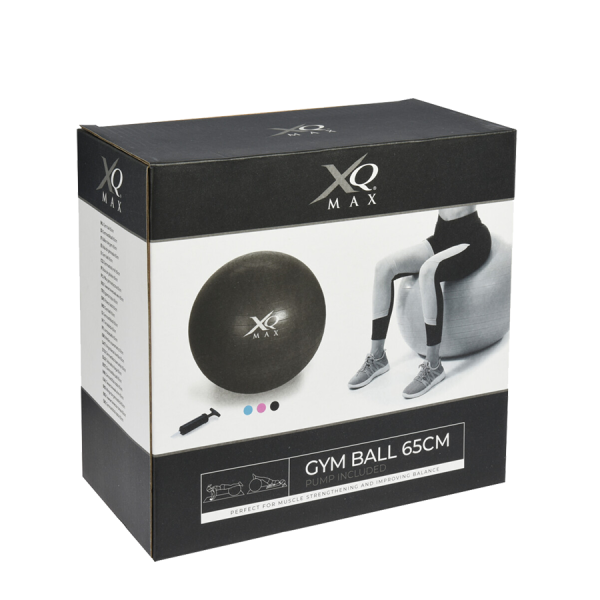 XQ Max Gym Ball Pink Ø65cm