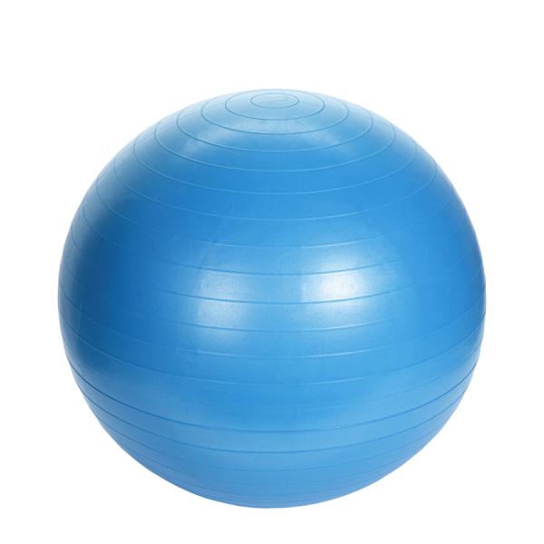 XQ Max Gym Ball Blue Ø65cm