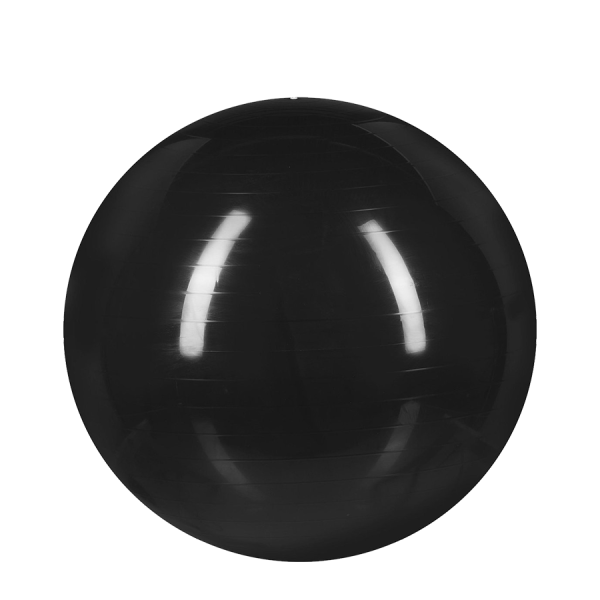 Relaxdays Gymnastiekbal Zwart Ø55cm