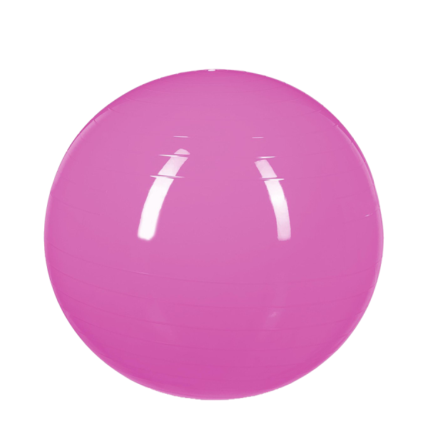 Relaxdays Gymnastiekbal Roze Ø55cm