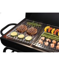 BBQ Barbecue Grillplaat 23x30cm 2 stuks