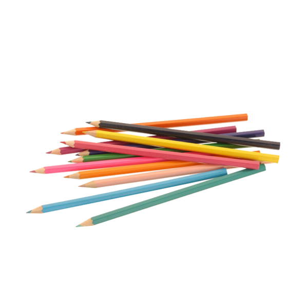 Kleurpotloden In Koker Pony 24 stuks