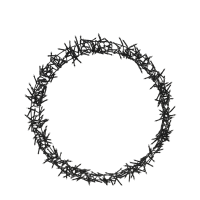 Ring LED Zwart 400 leds Ø48cm