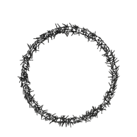 Ring LED Zwart 500 leds Ø58cm