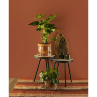 Gusta TerraCotcha Zelfwatergevende Plantenpot Ø18cm