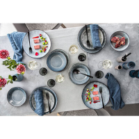 Sänger Serviesset Darwin 12-delig