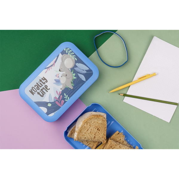 Amuse Plus Brooddoos Koality Time Large