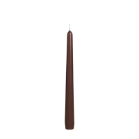 Bolsius Gotische Kaars Kastanjebruin 245/24mm