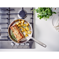 Alva Maestro Braadpan Ø20cm