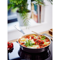 Alva Maestro Braadpan Ø24cm