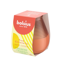 Bolsius Outdoor Patiolight True Citronella Koraal 94/91mm