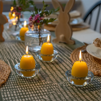 Bolsius Sierkaars Ei Groen 60/45mm