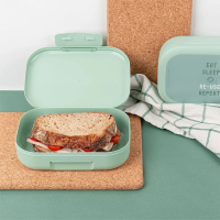 Amuse Lunchbox Medium Groen Eat Sleep Re-Use Repeat