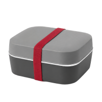 Amuse Basic Lunchbox 2-in-1 Grijs + Rode Elastiek 4-delig
