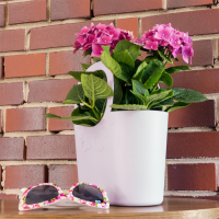 Lilly Draagtas Indian Roze S 3,8L